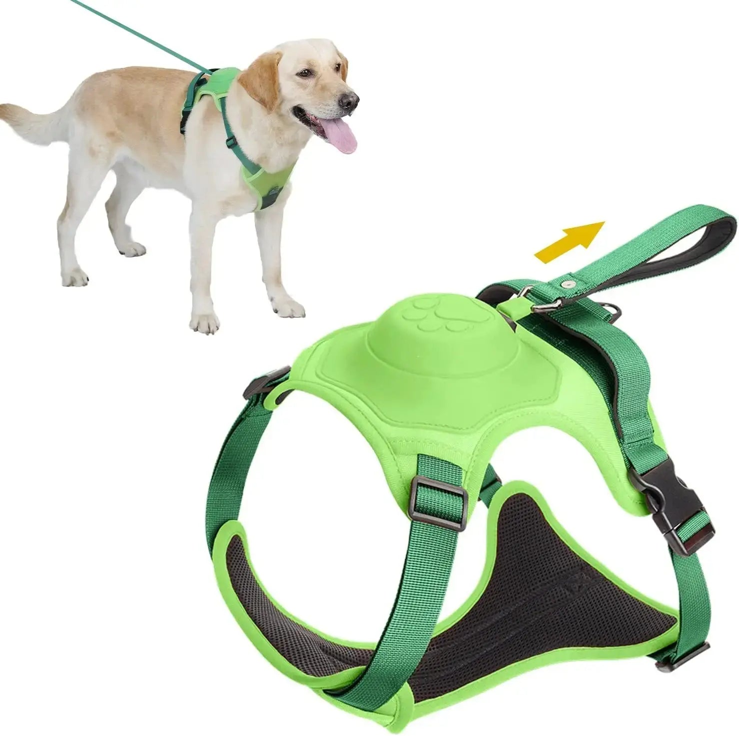 Dog Harness and Automatic Retractable Leash Kit - Best Style