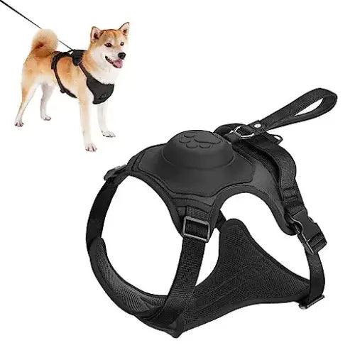 Dog Harness and Automatic Retractable Leash Kit - Best Style
