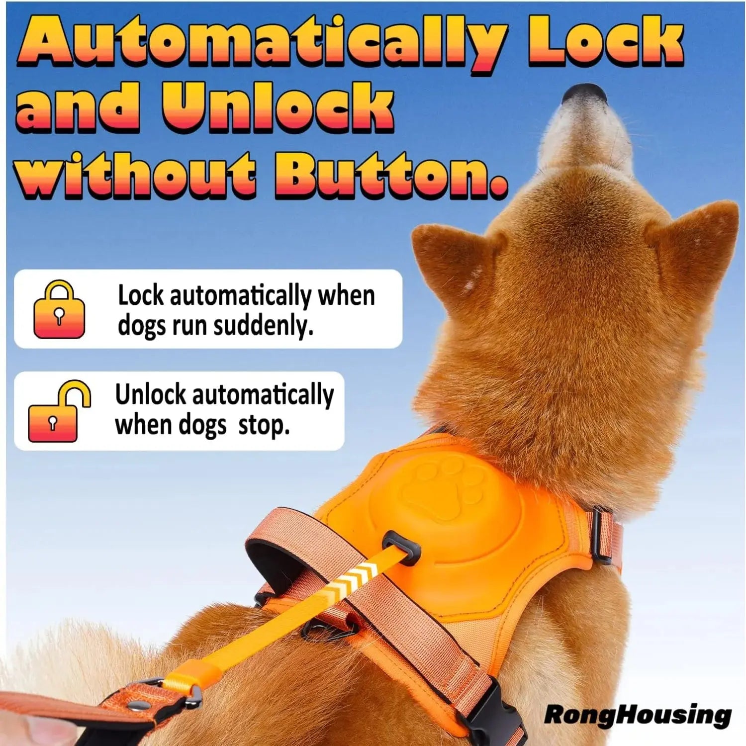 Dog Harness and Automatic Retractable Leash Kit - Best Style