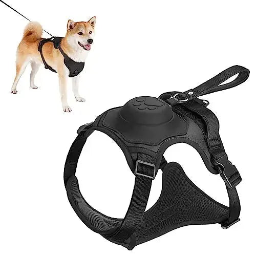 Dog Harness and Automatic Retractable Leash Kit - Best Style