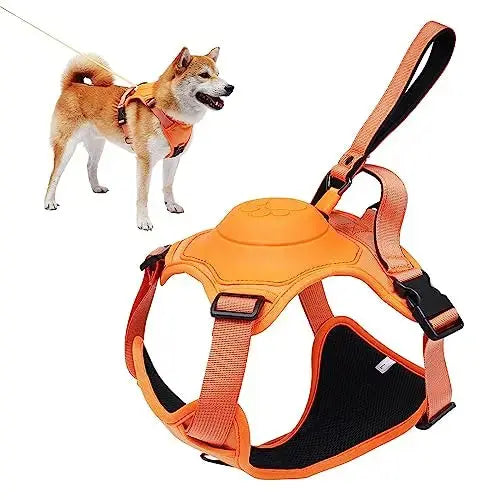Dog Harness and Automatic Retractable Leash Kit - Best Style
