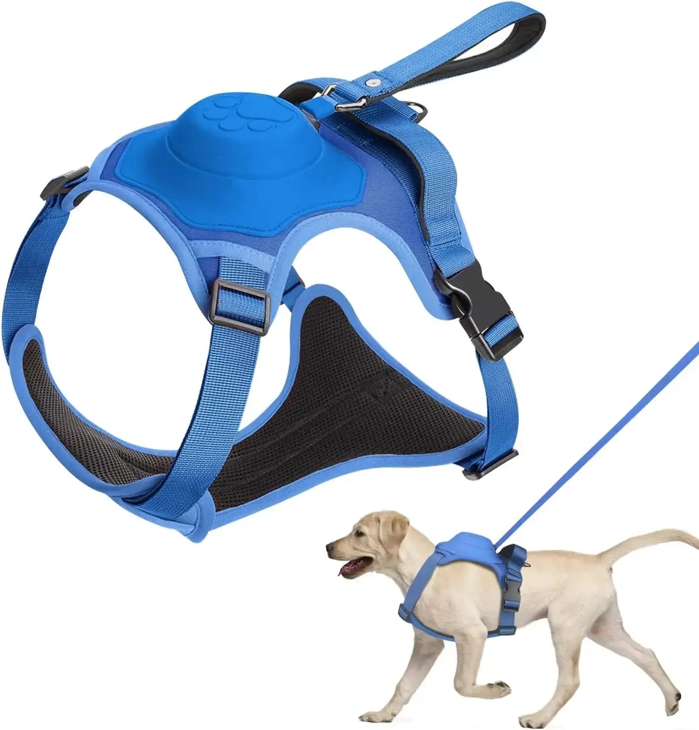 Dog Harness and Automatic Retractable Leash Kit - Best Style